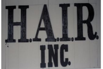 hair Inc.